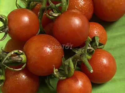 Nhà nguyên căn,đường số 2,bên cạnh cf Gia Linh