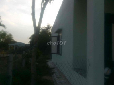 cho thuê nhà 1 trệt