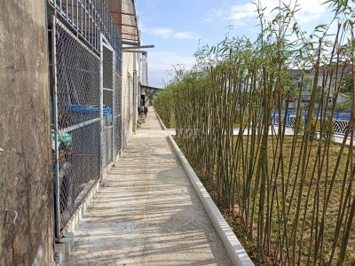 Cho thuê nhà hai mặt tiền đường nguyễn văn trỗi