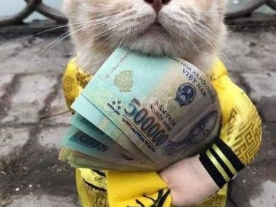 Mặt tiền đường DH3,sát chợ La Thọ-Điện Hòa,QN.