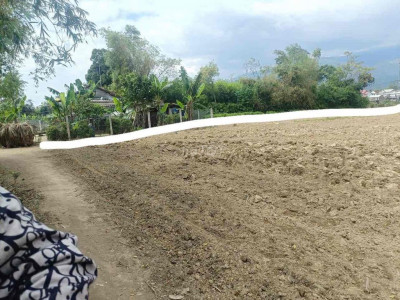 Mình có cụm gần 20 lô bố trí như hình tai Đại Lộc