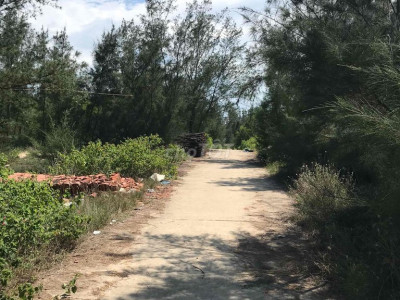 đất cây lâu năm 2 mặt tiền đường dân cư đông đúc