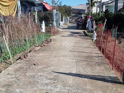 Cần tiền bán một hoặc cả hai lô đất điện Phương