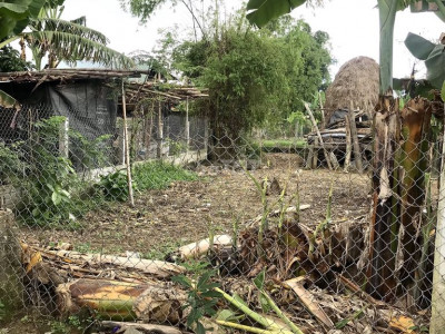 Bán gấp lô Điện Quang, 99m2 giá rẻ 400 triệu