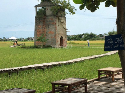 Bán lô mặt tiền Duy Vinh, Duy Xuyên, 206m2 chỉ 6xx