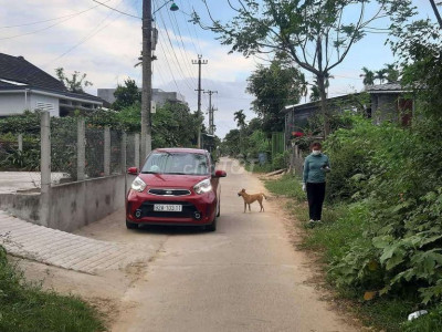 BÁN ĐẤT PHÚ BÔNG, DUY TRINH, DUY XUYÊN, GIÁ 550TR