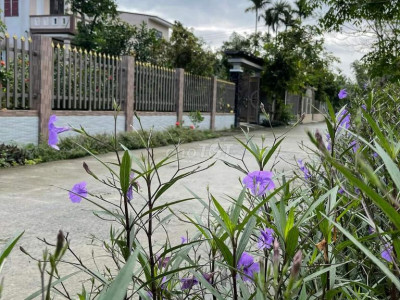 ĐIỆN PHƯỚC -BÁN R.Ẻ LÔ ĐẤT CÁCH CẦU BÌNH LONG 200m