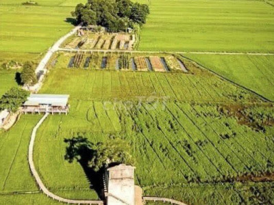 Bán lô mặt tiền Duy Vinh, Duy Xuyên, 206m2 chỉ 5xx