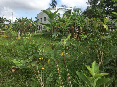 Bán đất sổ đỏ TP Hội An