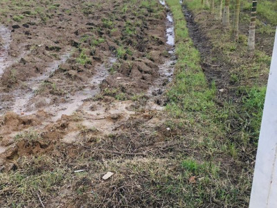 Bán đất gần KCN SEDO Duy Trinh, 146m2, ONT, 4xx