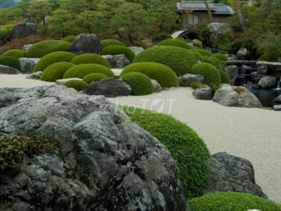 Bán khu đất mặt đường bê tông 4m, dài 85m