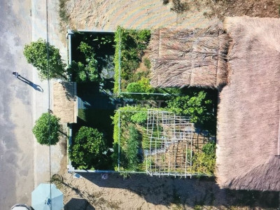 Cho thuê biệt thự xanh làm nhà ở , và Văn phòng