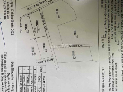 Siêu phẩm bán đất trồng cây điện tiến