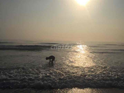 đất ven biển đường ô tô xuống biển giá đầu tư.