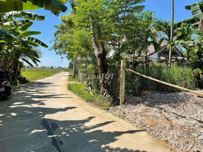 Duy Vinh sát Cẩm Kim giá rẻ ở đầu tư, Chốt ngay