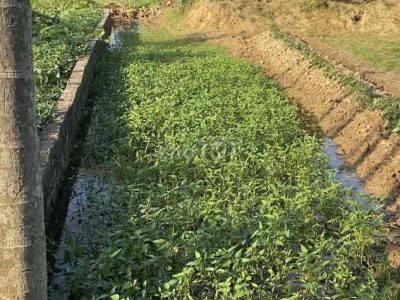 Bán gấp lô đất đẹp 127m2, bên cạnh UBND Xã DT