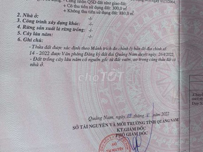 Bình Chánh Đất ĐepSiêu Phẩm Cục Vàng Đây Rồi,40*30