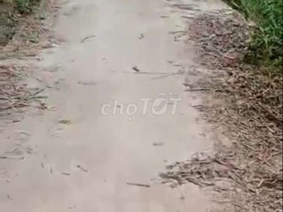 Block 2 lô Bình Trị,Thăng Bình Đất ở Giá 160 tr/l