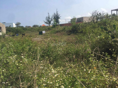 cần cho thuê hoạc bán đất diện tích lớn