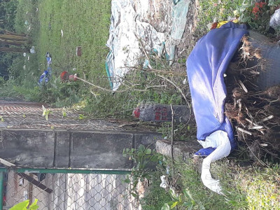 Cơ hội mua đất làm nhà cho vc trẻ hoặc Đầu tư