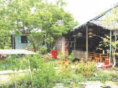 can thue nhà có vườn cây mát mẻ co vew sông vew lu