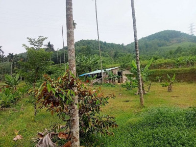 Bán đất vườn 20 sào tại tiên phước quảng Nam