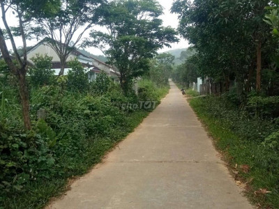 bán đất vườn 5000m2 tặng nhà cấp bốn  phú Ninh