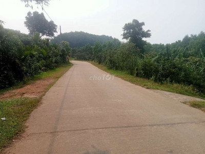 Bán nhà vườn views suối bám đường bê tông