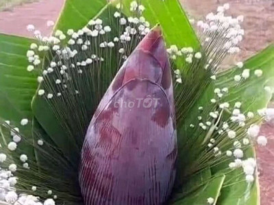 Chính chủ bán mảnh đất ở Đại cường 852m2(25×35)