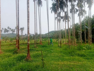 Bán đất vườn tam anh Nam núi thành