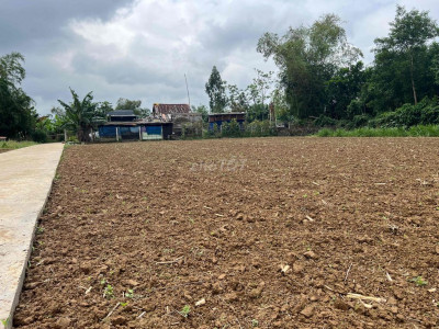 Bán Đất Nhà Vườn Đại Lộc ngang 35m chỉ 1,5 tỷ