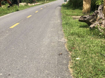 Chính chủ bán đất mặt tiền Quốc Lộ 24c thị trấn bắc Trà My