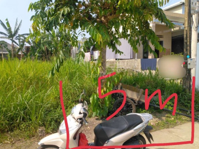 Đất điện quang cần bán