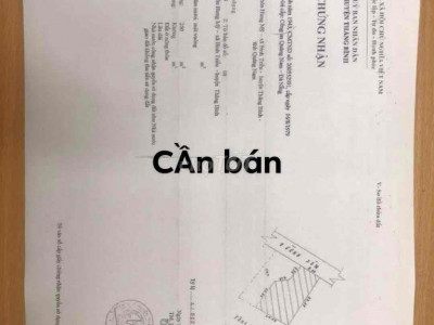 BÁN ĐẤT 250m2 THÔN HƯNG MỸ GIÁ RẺ - CHÍNH CHỦ