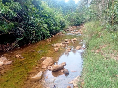 Bán đất rừng views suối bám suối Tiên Phước Quảng Nam