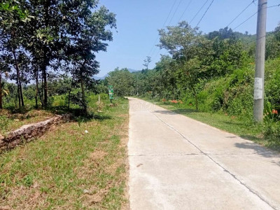 Bán đất vườn views sông làng cổ lộc yên xã tiên cảnh huyện tiên phước