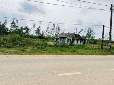 Chính chủ cần 4800m2  mặt tiền đường dh3 đất tam anh Nam Núi Thành