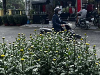 Nhà mặt tiền cần cho thuê, ngang 7m