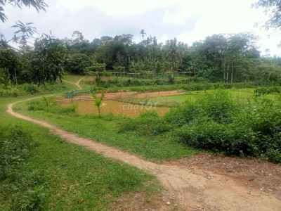 Chủ cần bán 4000m2 đất vườn tiên sơn tiên phước quảng Nam