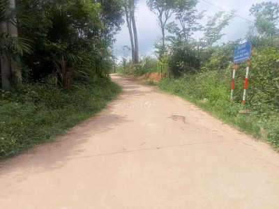 Bán đất vườn Tiên Hà Tiên Phước Dt 950m2 có 120m2