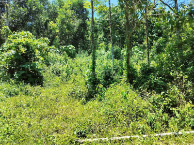 Bán đất vườn tiên phước 14.000m2 bao sổ