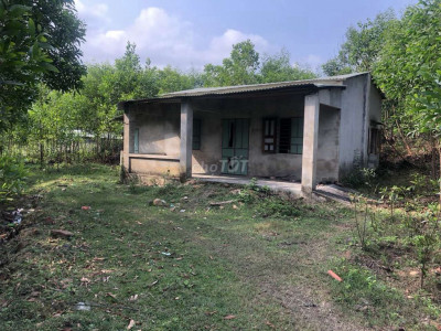 Chủ cần tiền bán đất (6.4ha) 64.500m2 sát đường nhựa