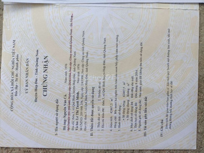 Bán đất làm trang trại chăn nuôi