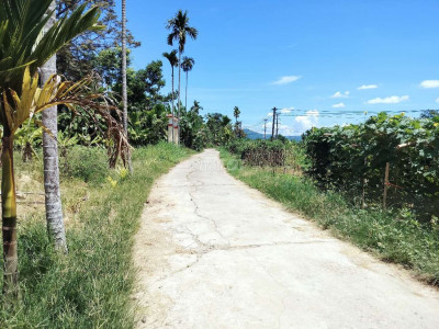 Cần tiền bán gấp nhà vườn tiên thọ tiên phước quảng Nam