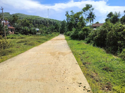 E chào bán siêu phẩm lô vườn tiên lập  mặt tiền đường bê tông 40m