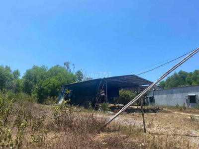 Cho thuê nhà xưởng hơn 200m2 có sẵn điện 3 pha