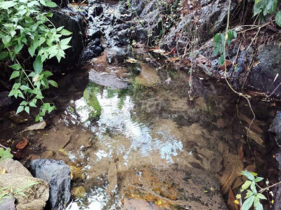 Bán đất vườn gần khu du lịch Sinh Thái thác Ồ ồ tiên châu tiên phước