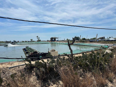 cần Bán gần 5000m2 Mặt biển tại xã Bình Nam,Thăng Bình,Quảng Nam