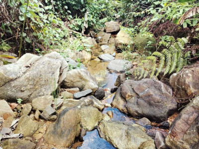 Bán 7ha bám đường bê liên xã bám suối nhỏ phù hợp làm trang trại