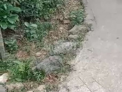 cắt lỗ 300tr Bán gấp nhà vườn hơn 1000m2 có 300 đất ở giá chỉ 580tr